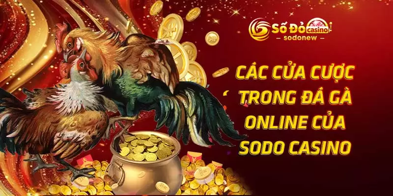 Các cửa cược trong đá gà online của SODO Casino