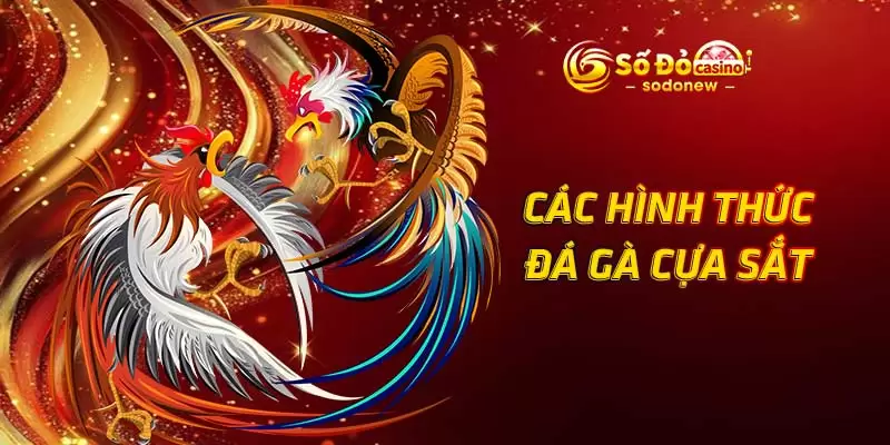 Các hình thức đá gà cựa sắt