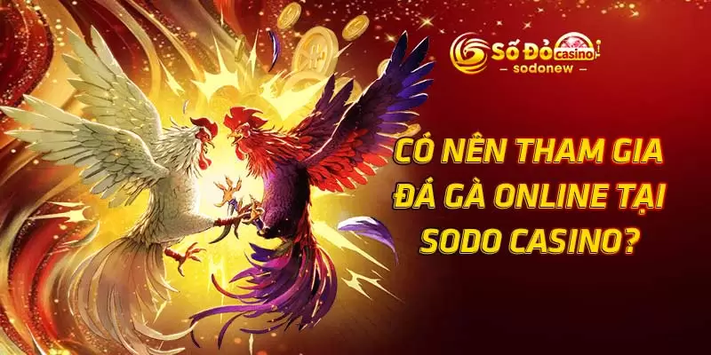 Có nên tham gia đá gà online tại SODO Casino?