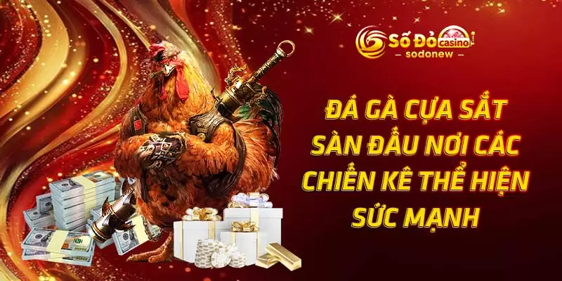 Đá Gà Cựa Sắt - Sàn Đấu Nơi Các Chiến Kê Thể Hiện Sức Mạnh