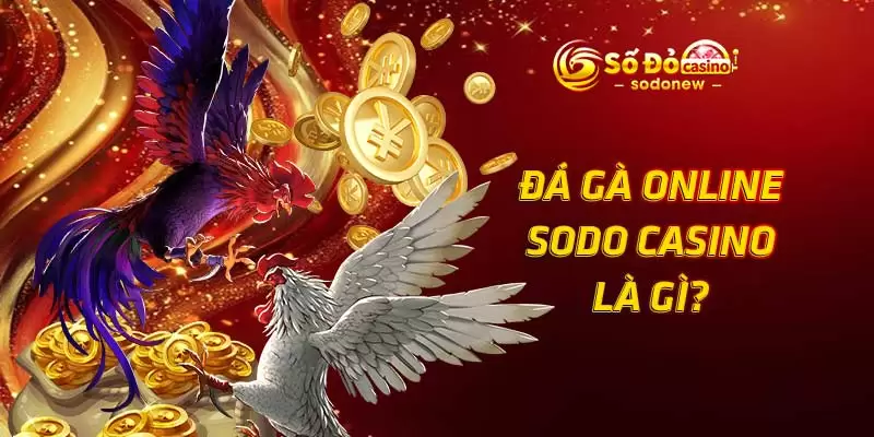 Đá gà online SODO Casino là gì?