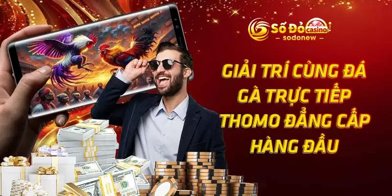 Giải Trí Cùng Đá Gà Trực Tiếp Thomo Đẳng Cấp Hàng Đầu