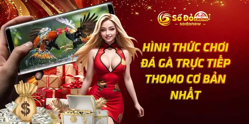 Hình thức chơi đá gà trực tiếp Thomo cơ bản nhất
