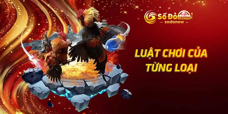 Luật chơi của từng loại