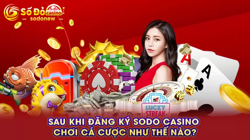 Sau khi đăng ký SODO Casino chơi cá cược như thế nào?