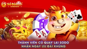 Thành viên cũ quay lại SODO - nhận ngay ưu đãi khủng
