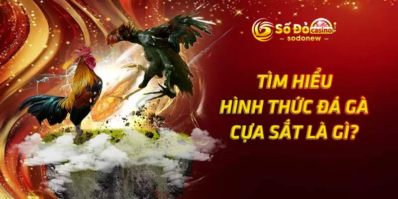 Tìm hiểu hình thức đá gà cựa sắt là gì?