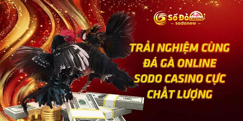 Trải Nghiệm Cùng Đá Gà Online SODO Casino Cực Chất Lượng