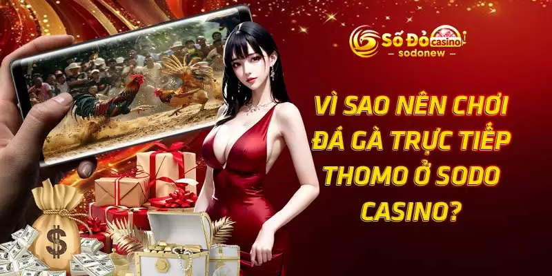Vì sao nên chơi đá gà trực tiếp Thomo ở SODO Casino?